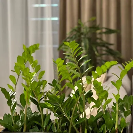 M&m2 Near Center With Free Parking - Ac * Кошице