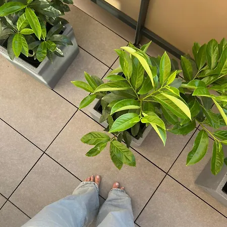 Апартаменты M&m2 Near Center With Free Parking - Ac Кошице