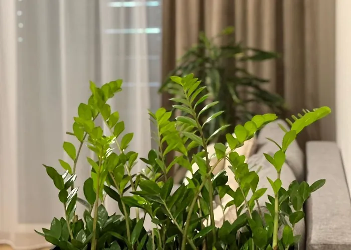 M&m2 Near Center With Free Parking - Ac * Kassa