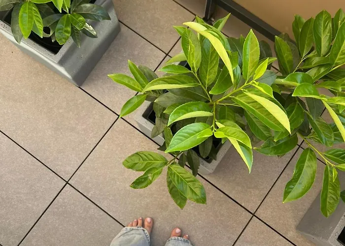 Apartman M&m2 Near Center With Free Parking - Ac Kassa